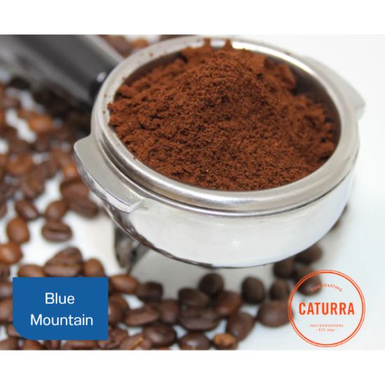 Picture of Coffee Caturra Blue Mountain Beans/Ground p/kg