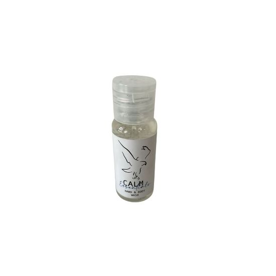 Picture of C CHEM EX BODY WASH 30ML